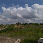 Myronivka community offers to lease a 13.6495-hectare greenfield land plot