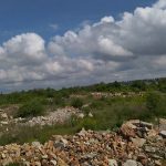 Myronivka community offers to lease a 13.6495-hectare greenfield land plot