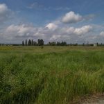 Myronivka community offers to lease a 30.3667-hectare greenfield land plot