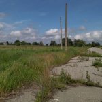 Myronivka community offers to lease a 30.3667-hectare greenfield land plot
