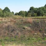 Таращанська громада пропонує орендувати земельну ділянку типу “greenfield” – 1,9951 га