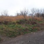 Білоцерківська громада пропонує орендувати земельну ділянку типу “greenfield” – 3,8114 га