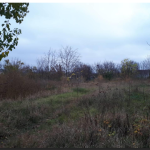 Білоцерківська громада пропонує орендувати земельну ділянку типу “greenfield” – 3,6114 га