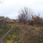 Білоцерківська громада пропонує орендувати земельну ділянку типу “greenfield” – 3,6114 га